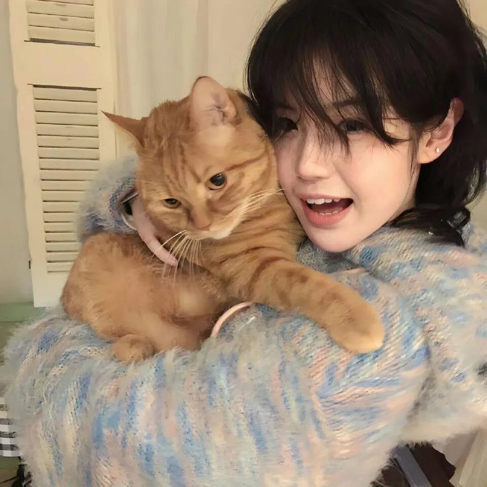锦鼠御猫之九幽血狼封面